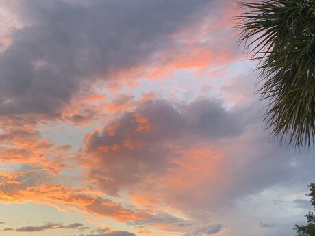 Sacred Dnari free pornstar photo