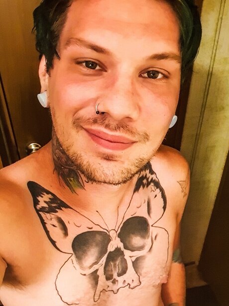 Auzzybear star high quality img