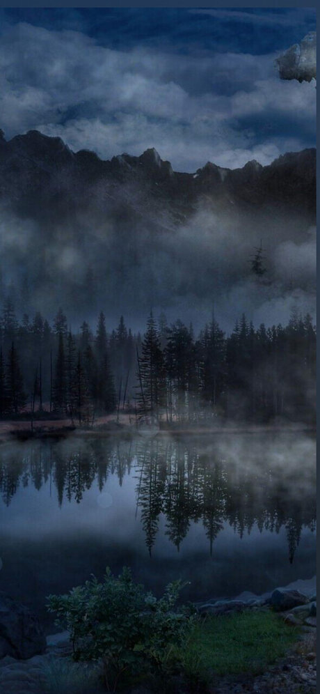 Poizon Ivy model pictures