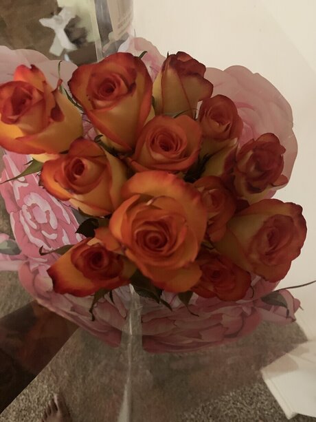 BBB xxx pornstar pic