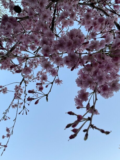 Cathy high quality pornstar galleries