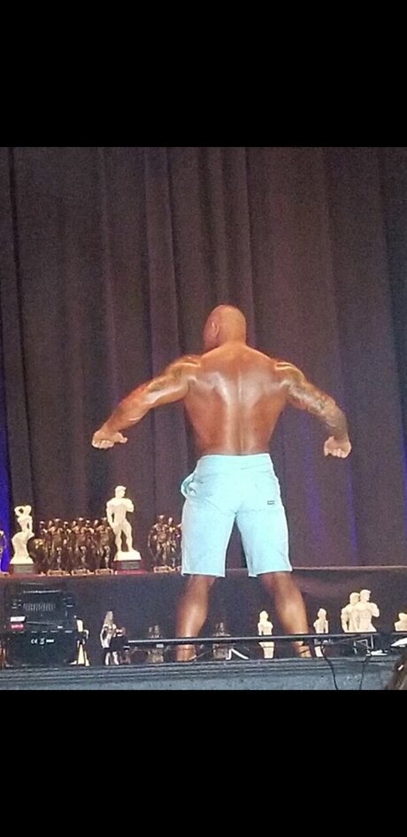 Rocksolid hd star gallery