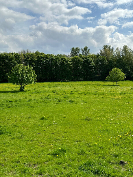 Naughty but Kinky_ exclusive model galleries