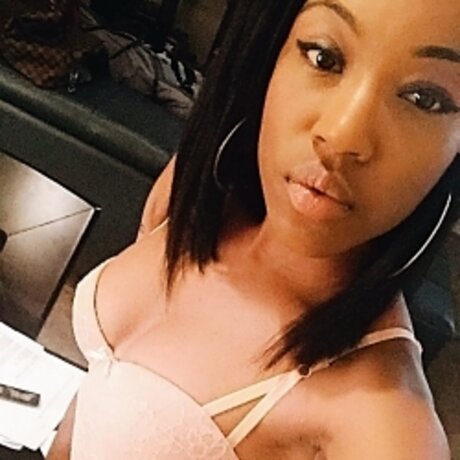 Dia Noche star high quality img