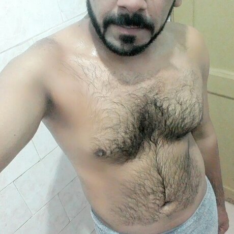 Desy BULL art star photos