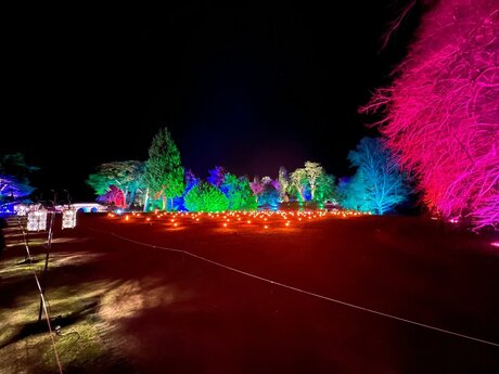 BigBoyLen nice star pics