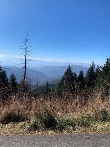 Sexy baddy erotic model gallery