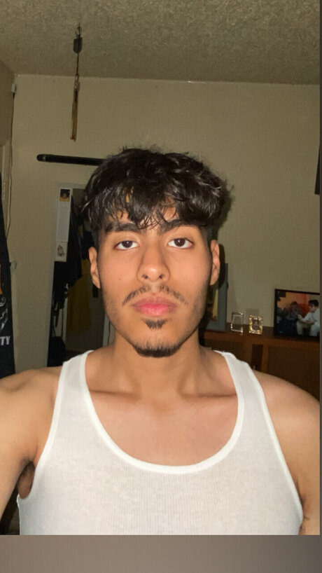 sonochammy top model image