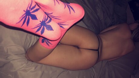 S toy69 pornstar xxx pics