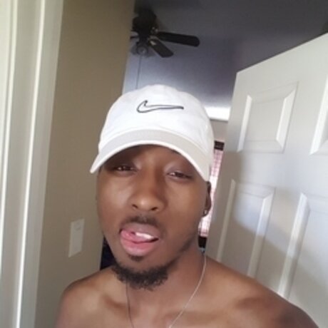 Dking free pornstar galleries