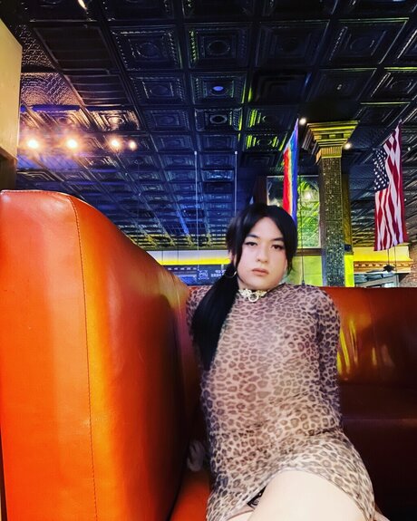 Virginassian free model galleries