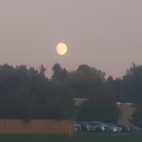 Firebraker sex pornstar archive