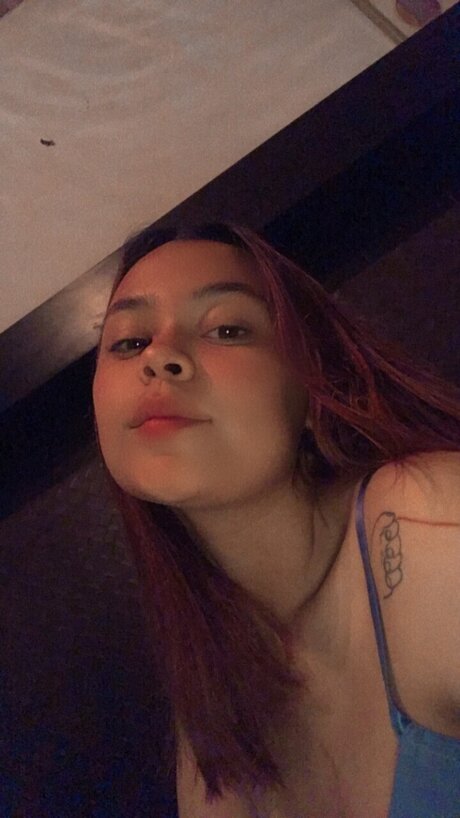 Ferlop 3105 star art photos