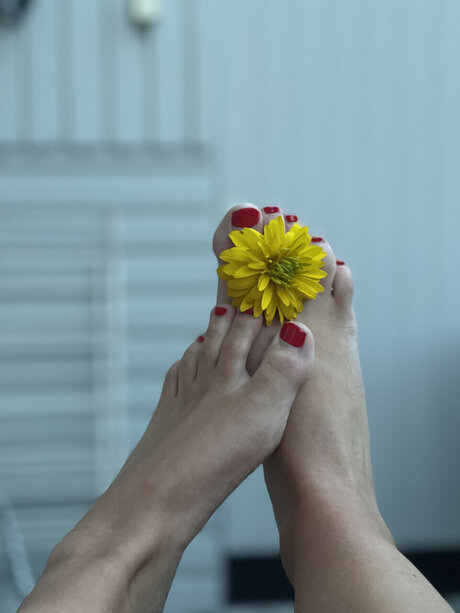 Foot fetish page high quality actress pics