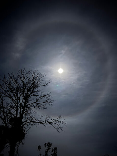 Azarajade666 star nudes image