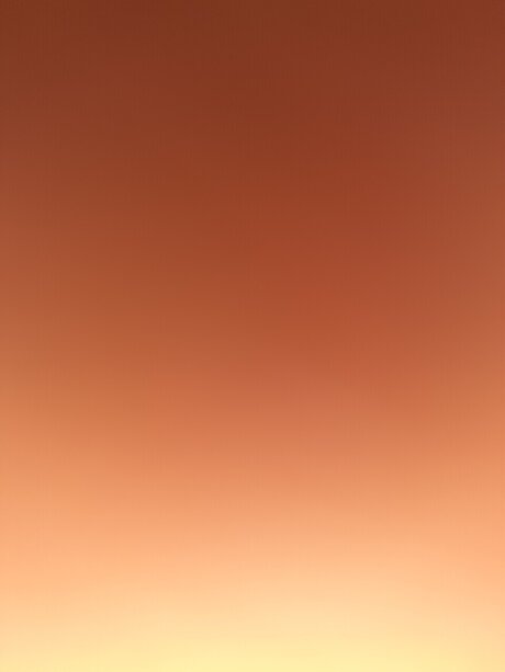 G Rivera star adult gallery