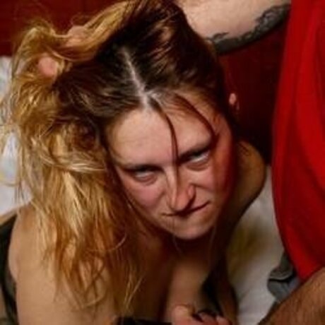 u3865545 best star gallery