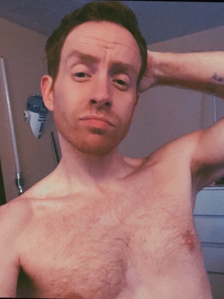 Existing star high quality galleries