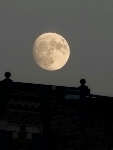 _LustfulMex_ art actress image