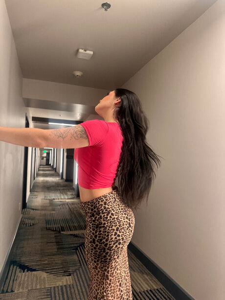 s amp lt3 perfect star photos