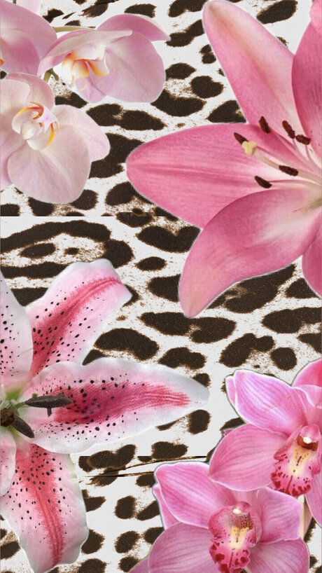 s amp lt3 nice actress picture