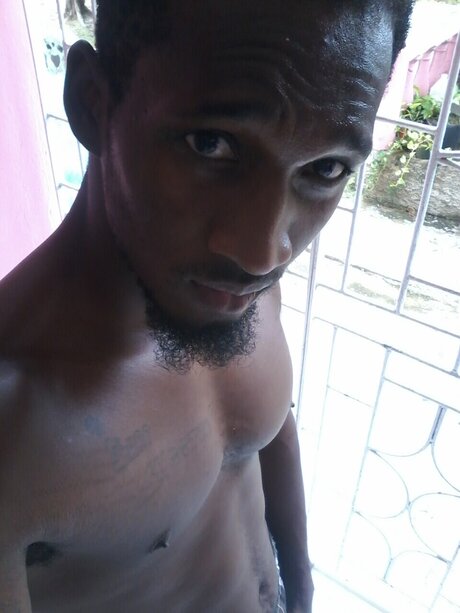 SugaCocky adult star image