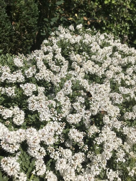 Zukumei adult actress images