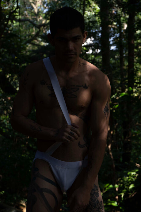 stanley villegas beautiful star archive