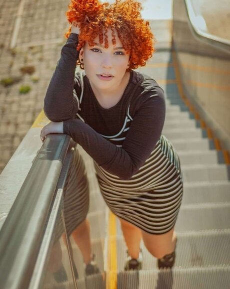 Dibsnina star free pictures