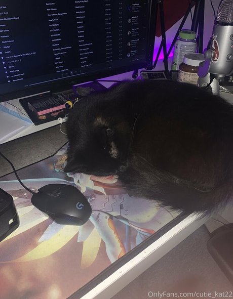 cutiekatw perfect pornstar photos