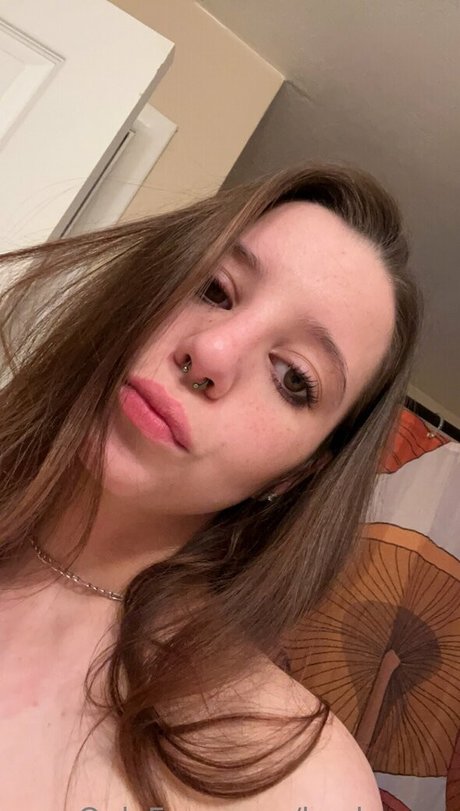 kaylaacee adult actress photo