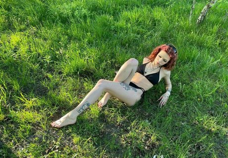 horrory star beautiful image