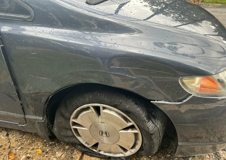 jena larose sex star picture