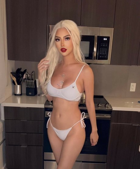 Katkwo4 star art pictures