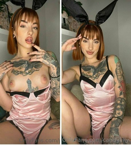 candylilly hot star picture