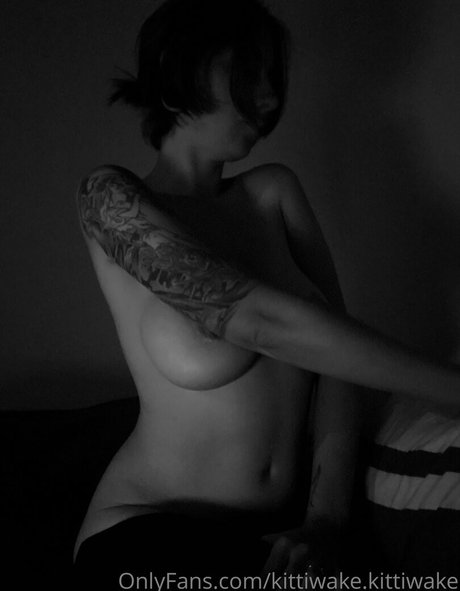 kittiwake kittiwake model nice galleries