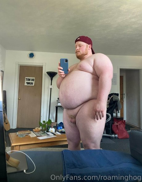 roaminghog art star pics