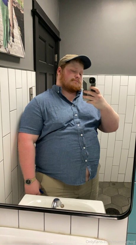 roaminghog high quality star galleries