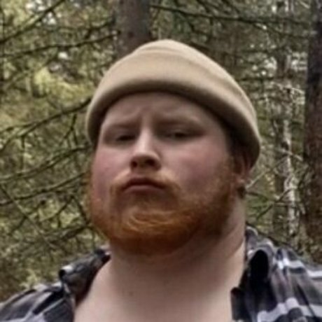 roaminghog star beautiful archive