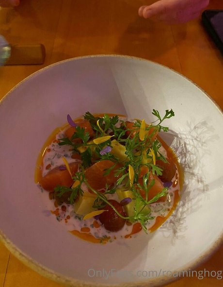 roaminghog erotic actress images