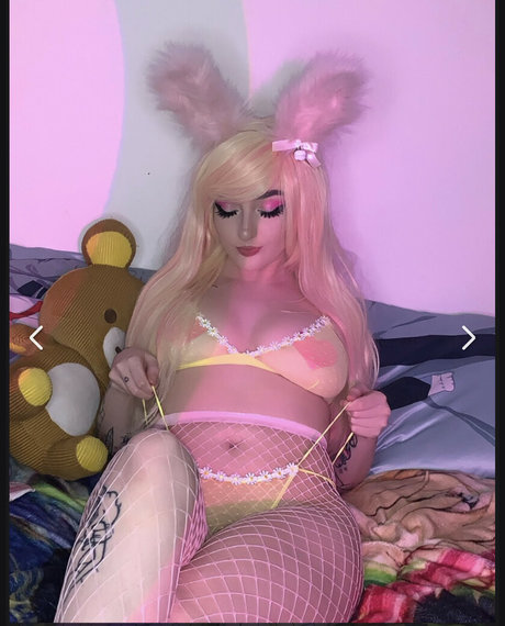 Pajerok model top image