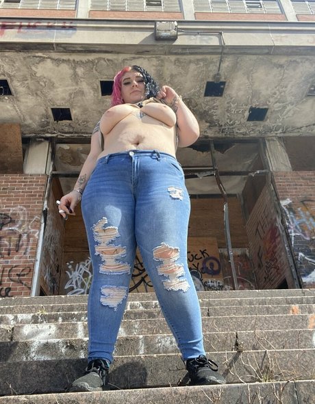 rainbowfundipp star top photos