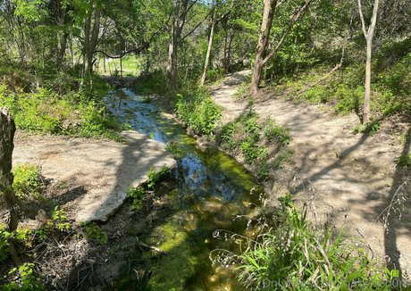 latina feet onlyfans beautiful nude image