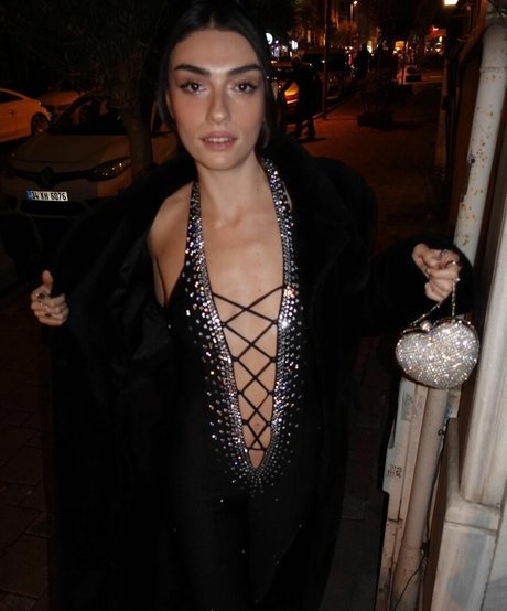 Hazar Erguclu nice star image