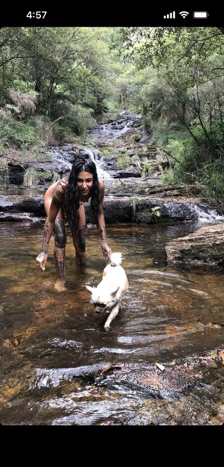 Thefreeelf star nice img