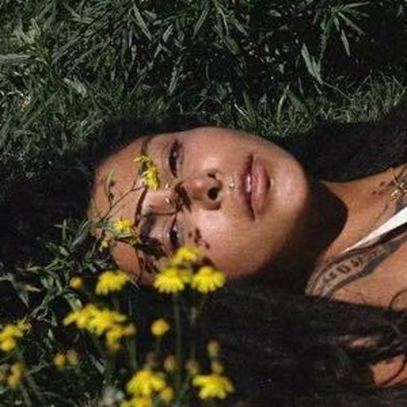 Thefreeelf hd actress pictures