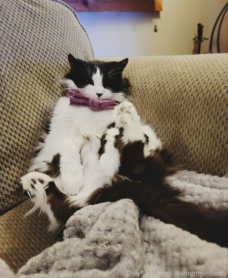 savingmyinsanity pornstar hot images