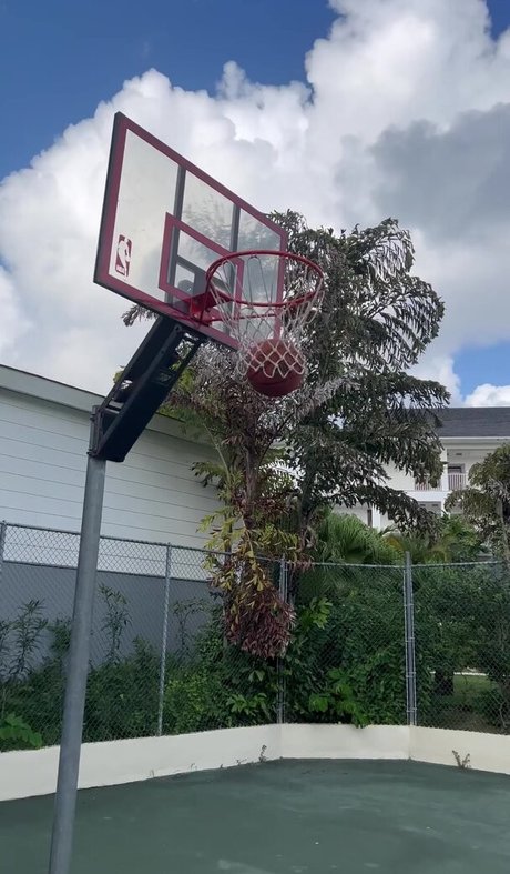 Sian Gabbidon adult star archive