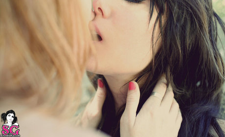 Kemper SG star free img