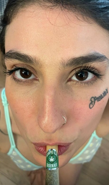 Camilla Leotta star gallery